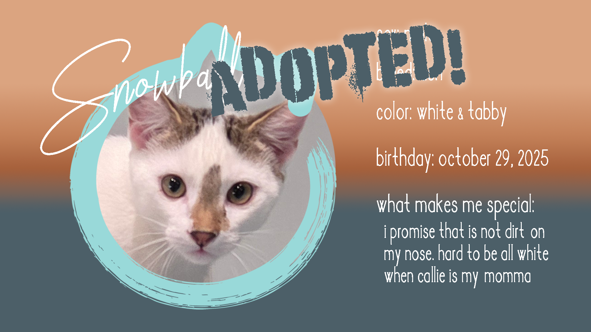 snowball adopted.png