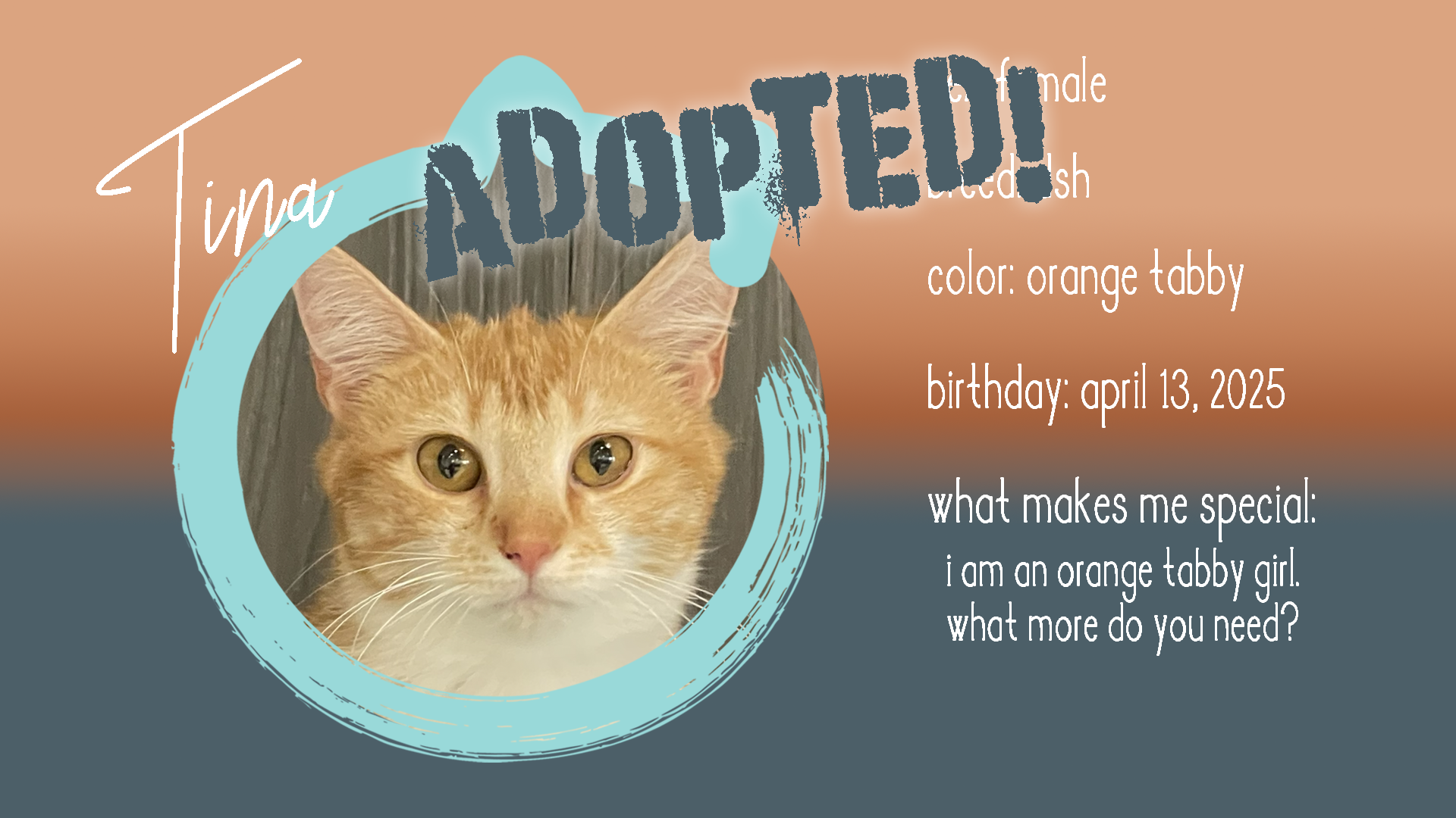 tina adopted.png