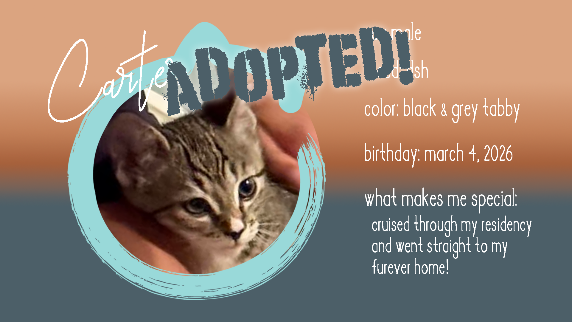 carter adopted.png