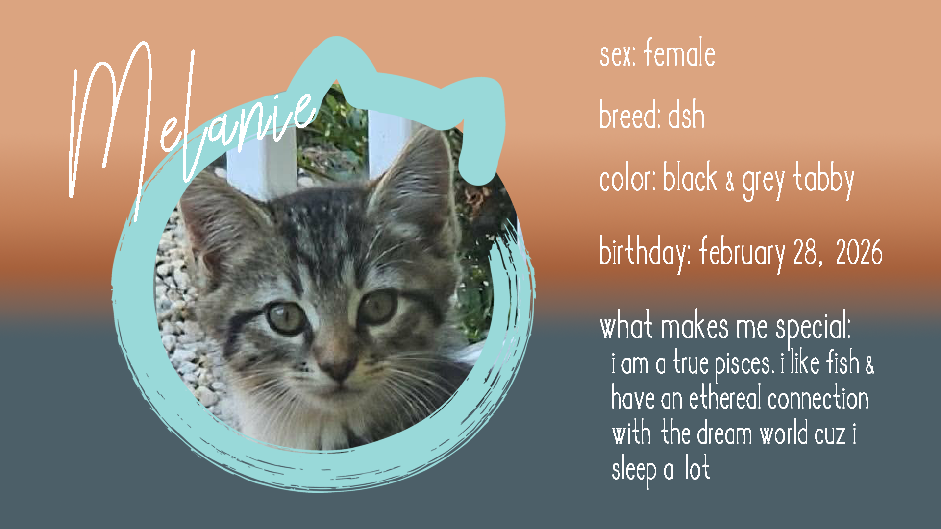 melanie info.png