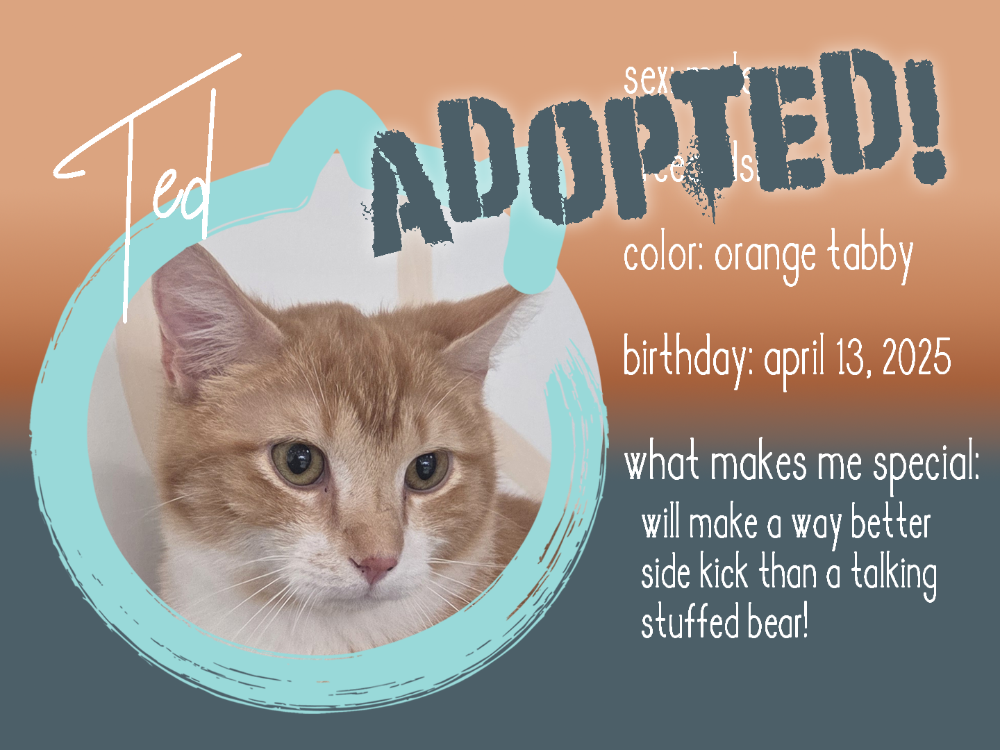 ted adopted.png