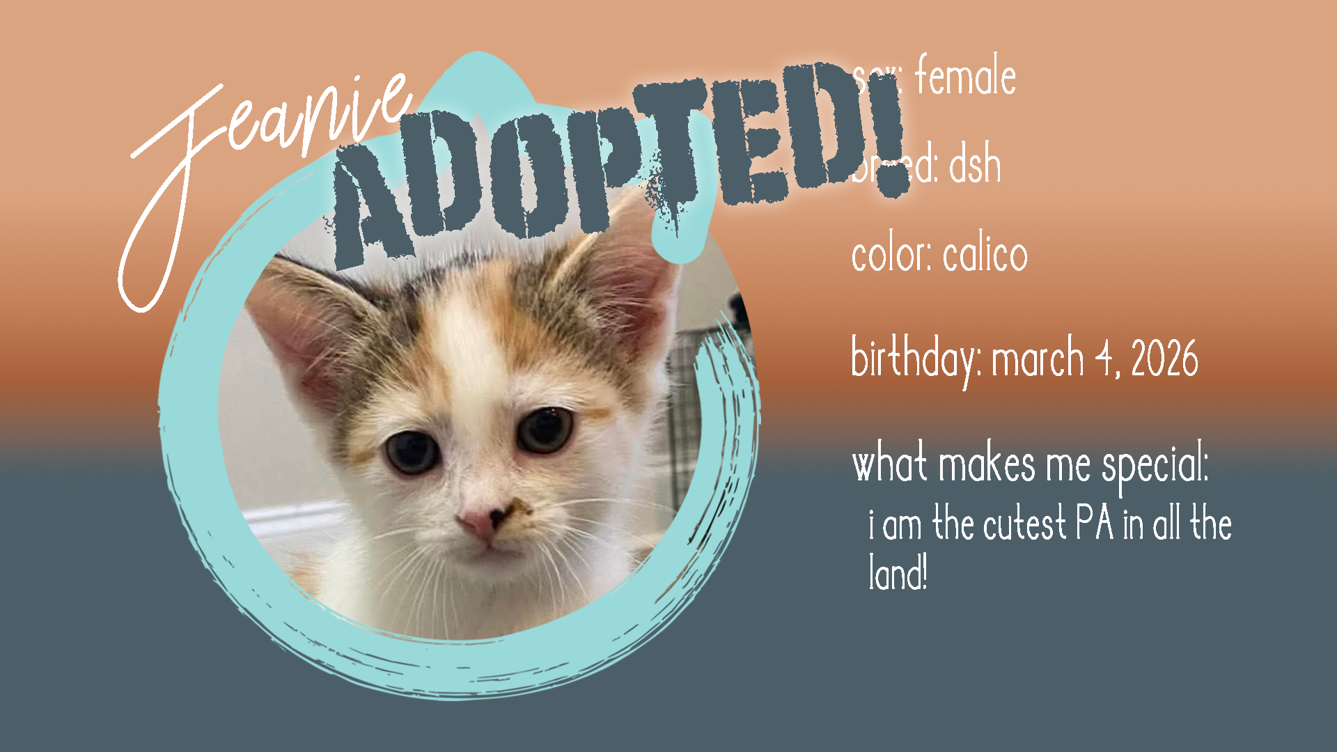 jeanie adopted.png