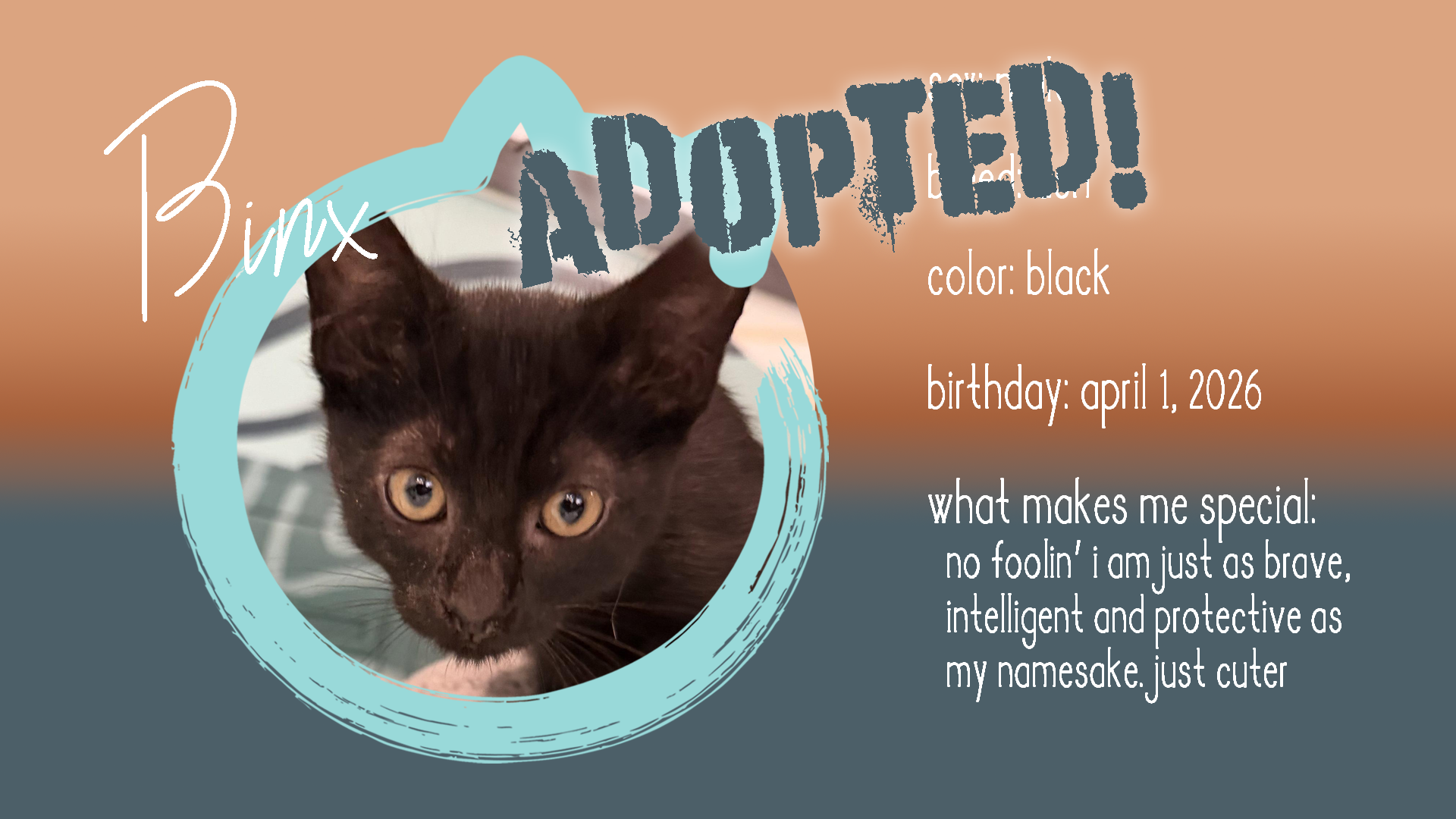 binx adopted.png