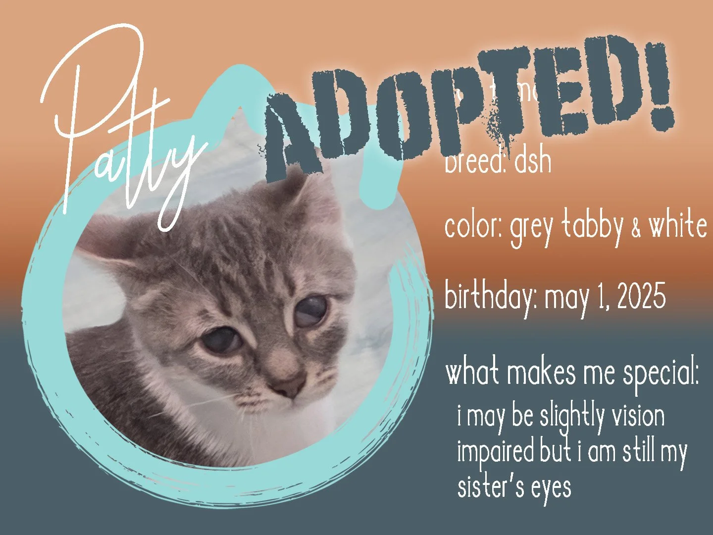 patty adopted.jpg
