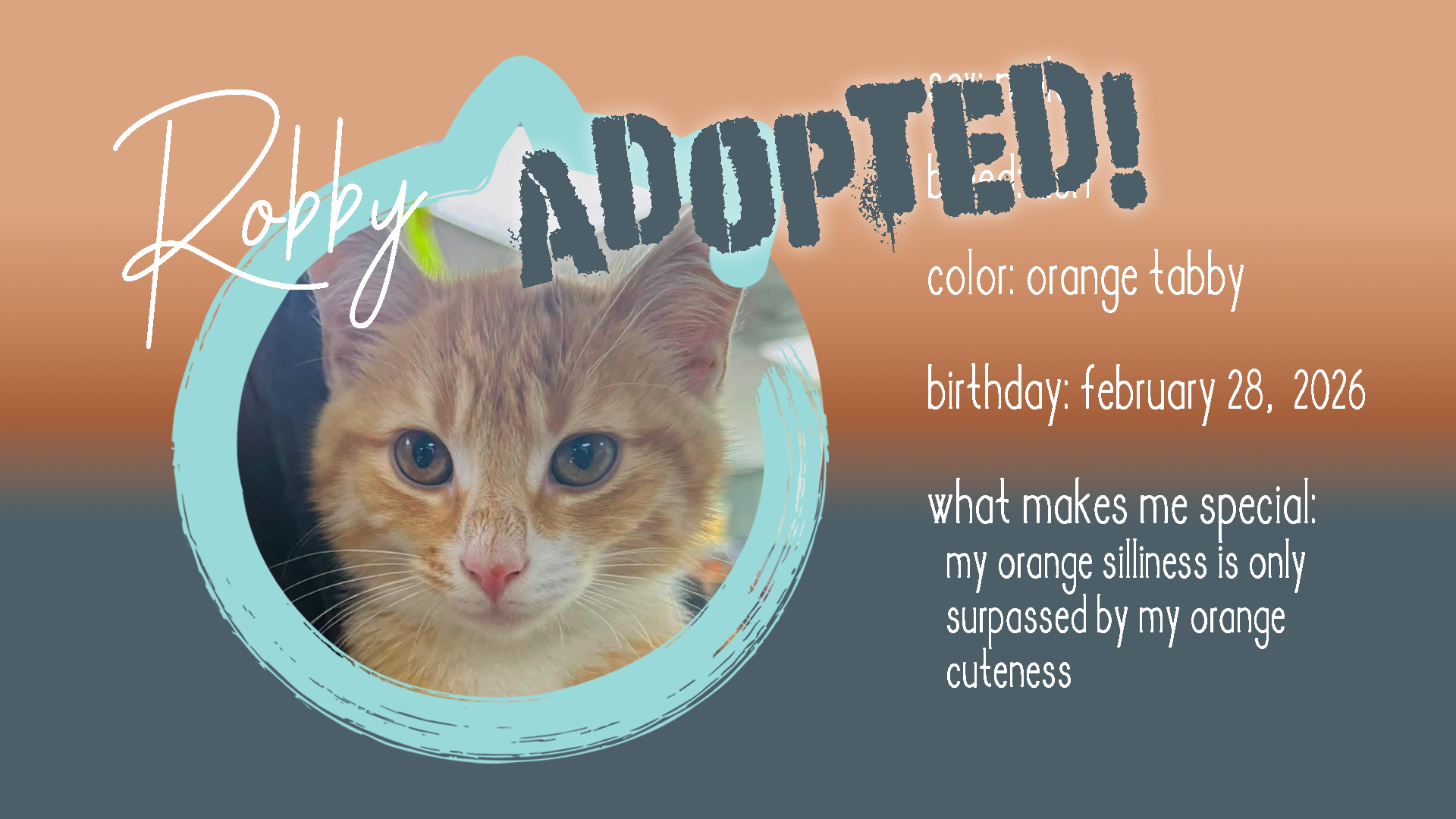 robby adopted.png