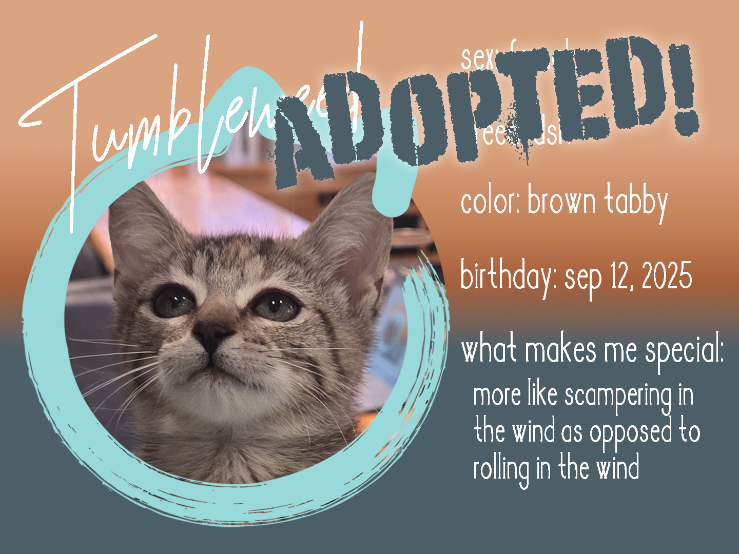 tumbleweed adopted.png