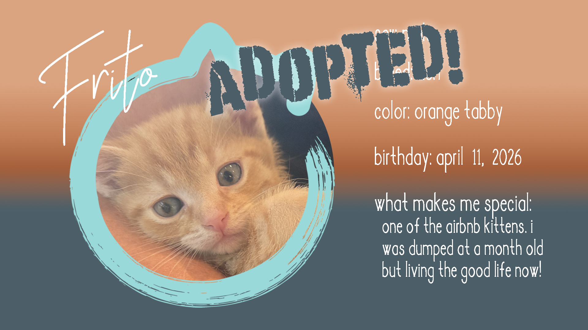 frito adopted.png