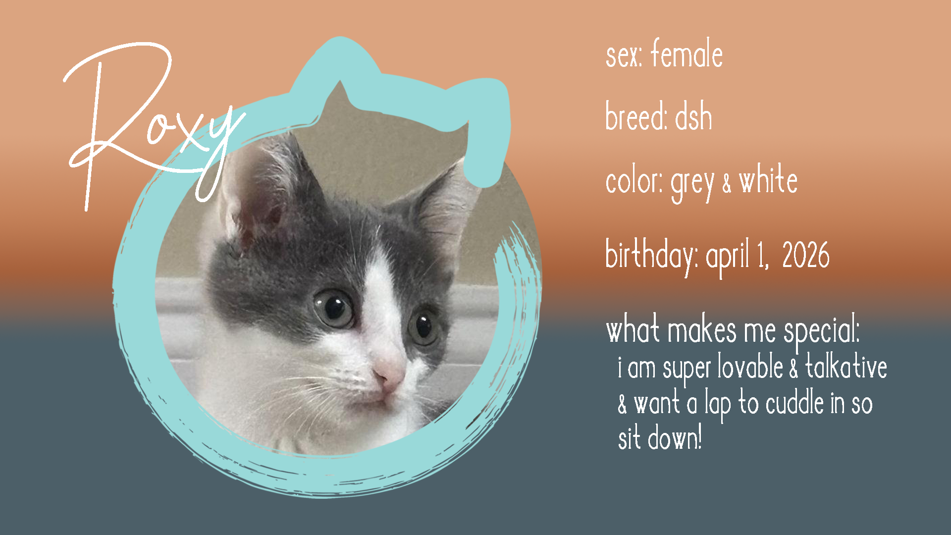 roxy info.png