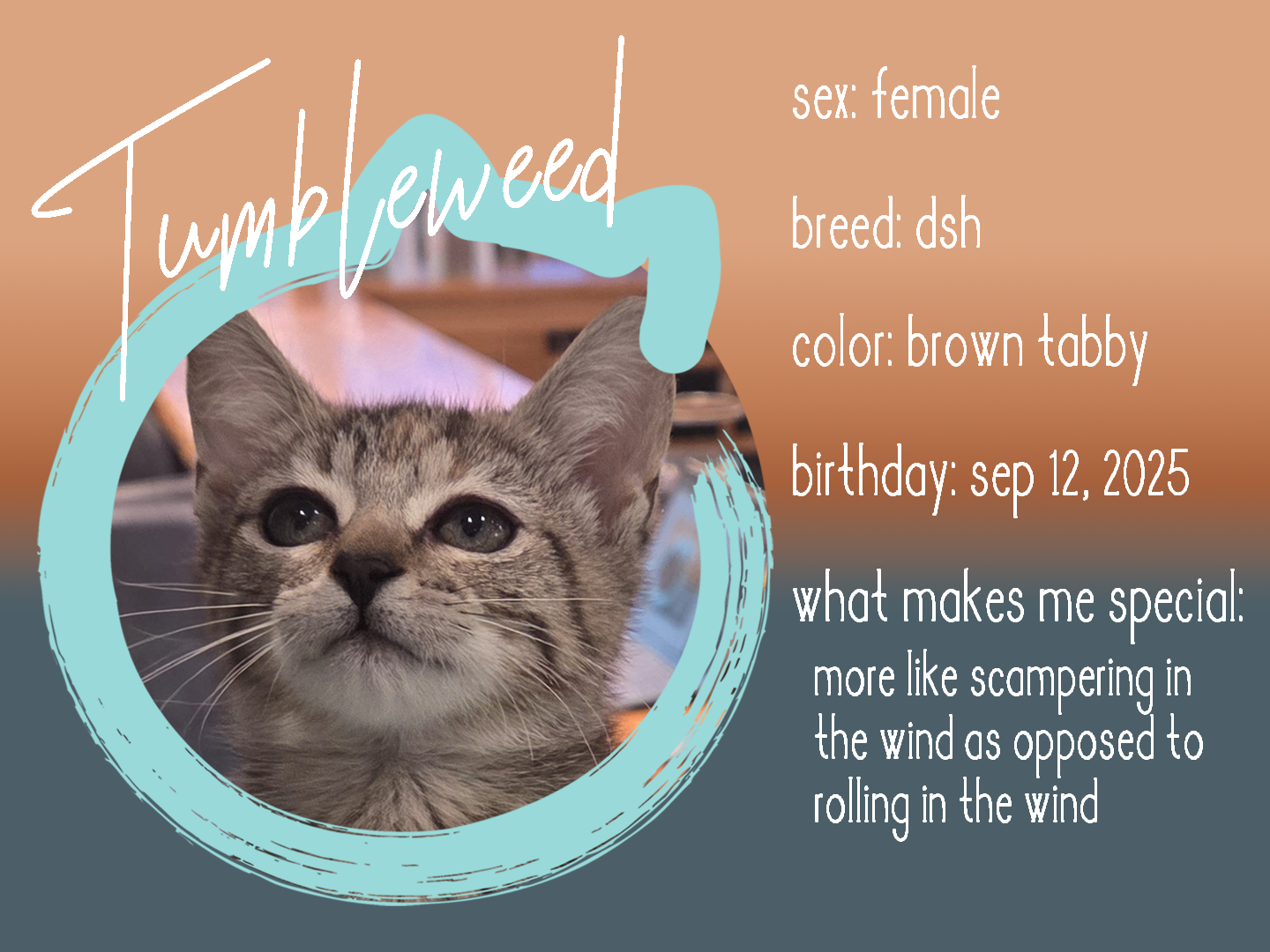 tumbleweed info.png