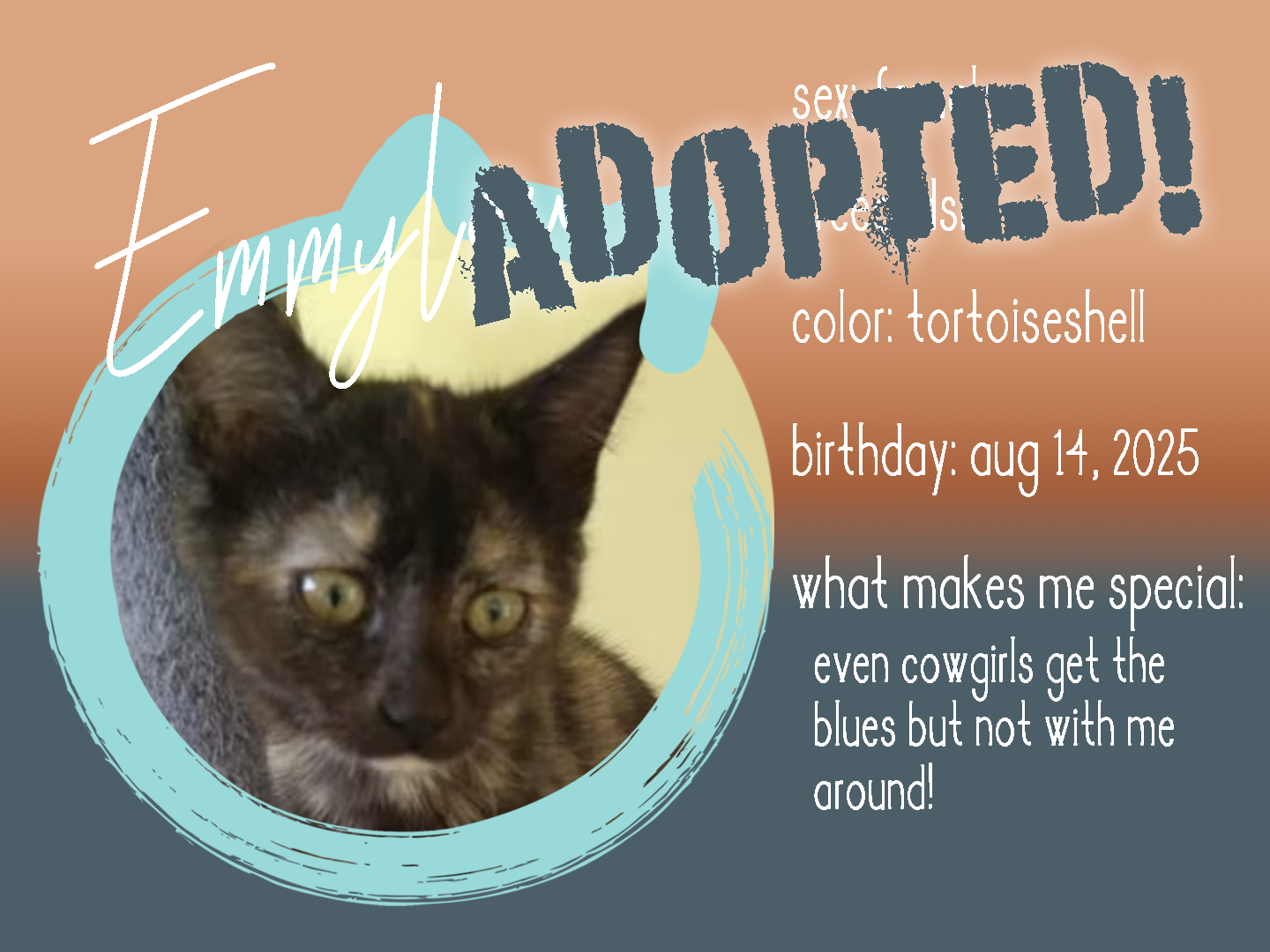 emmylou adopted.png