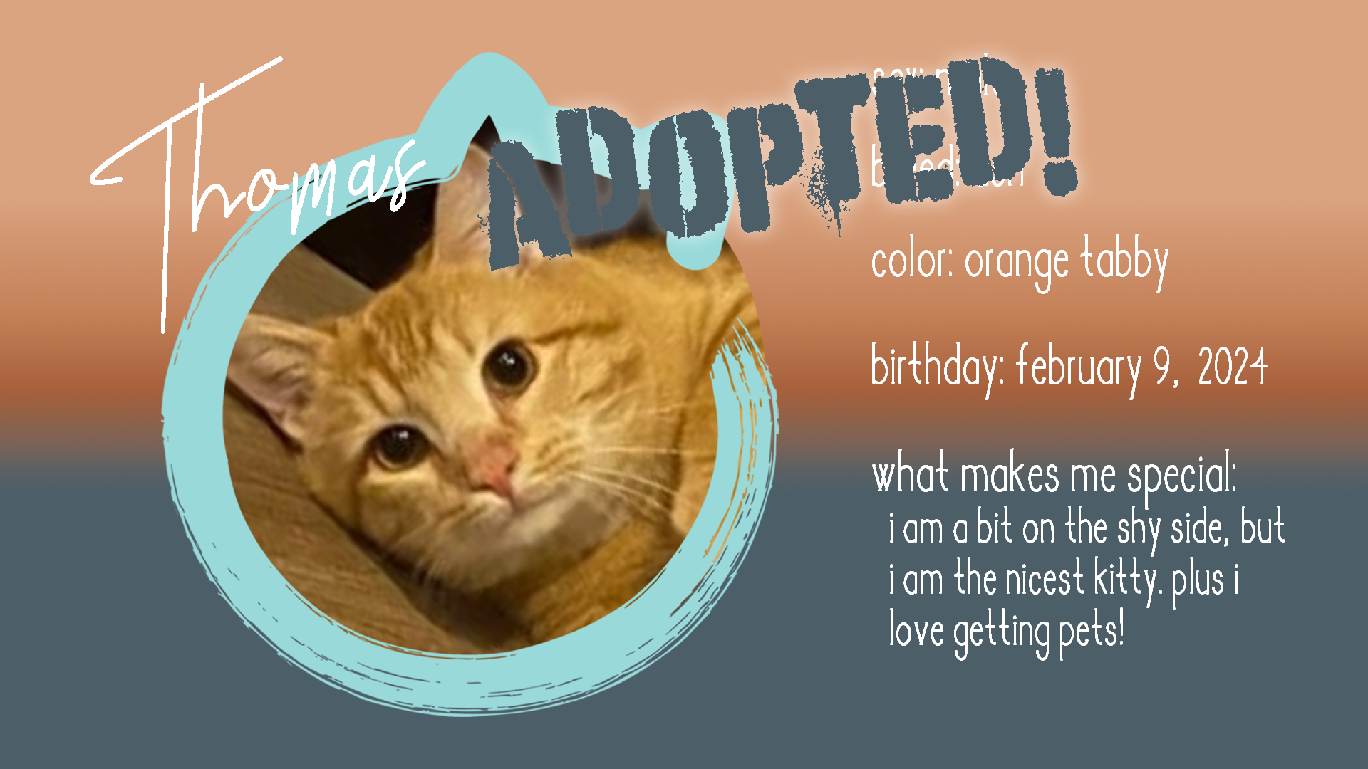 thomas adopted.png