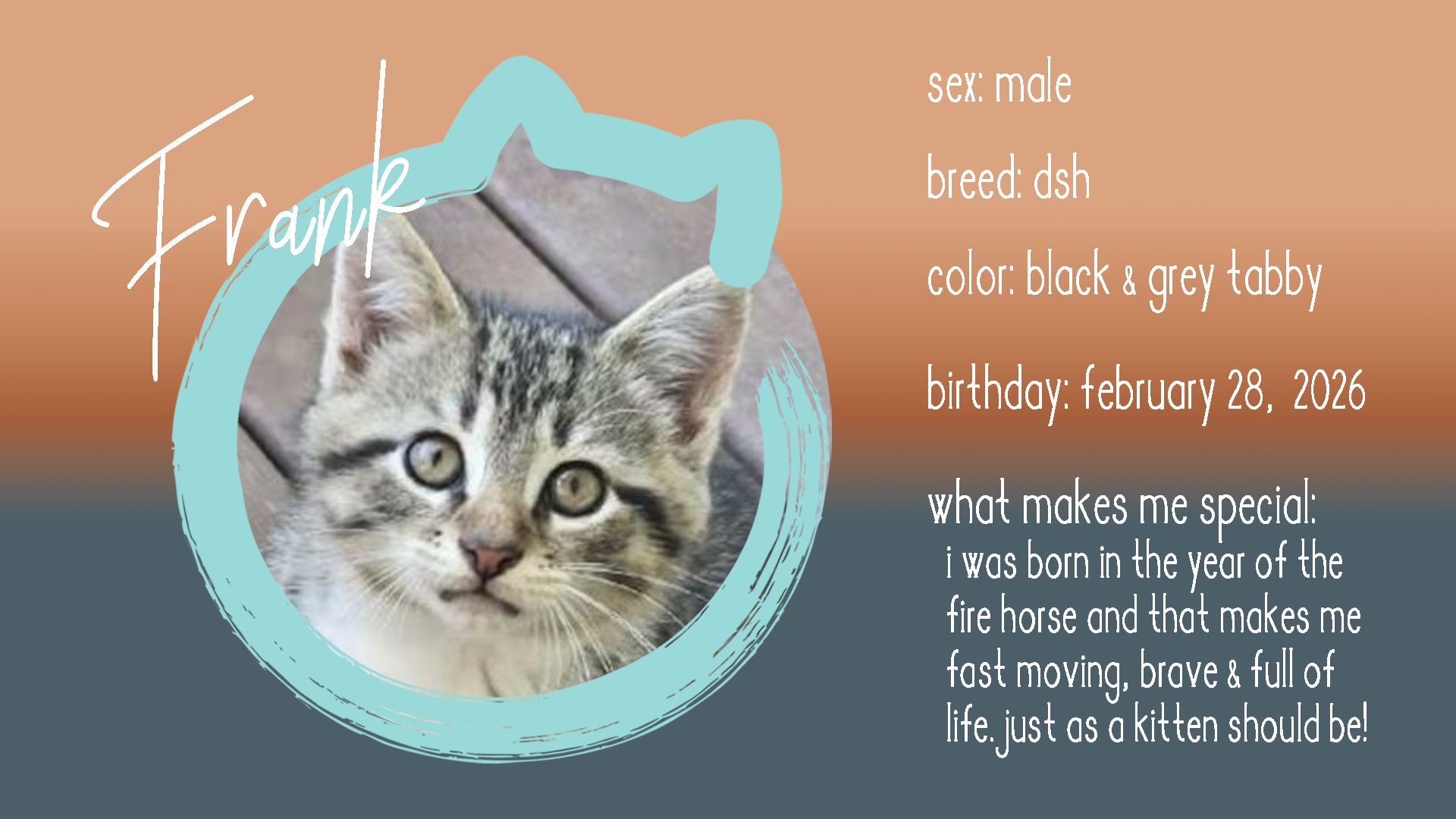 frank info.png