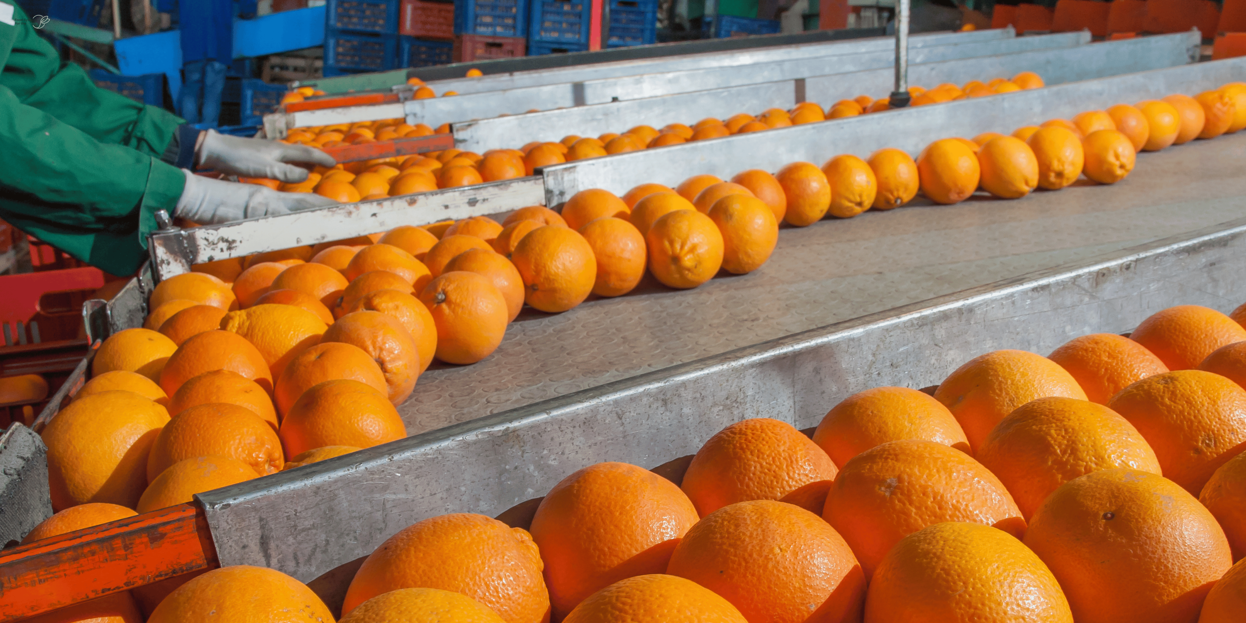 Bridging the Midstream Gap: Unlocking Capital and Infrastructure for U.S. Specialty Crop SME