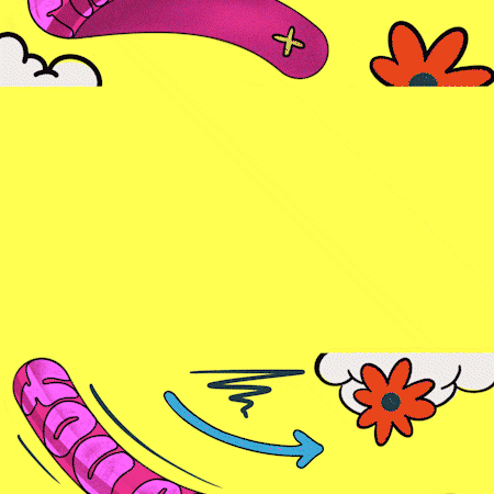 here_kushalbirari.gif