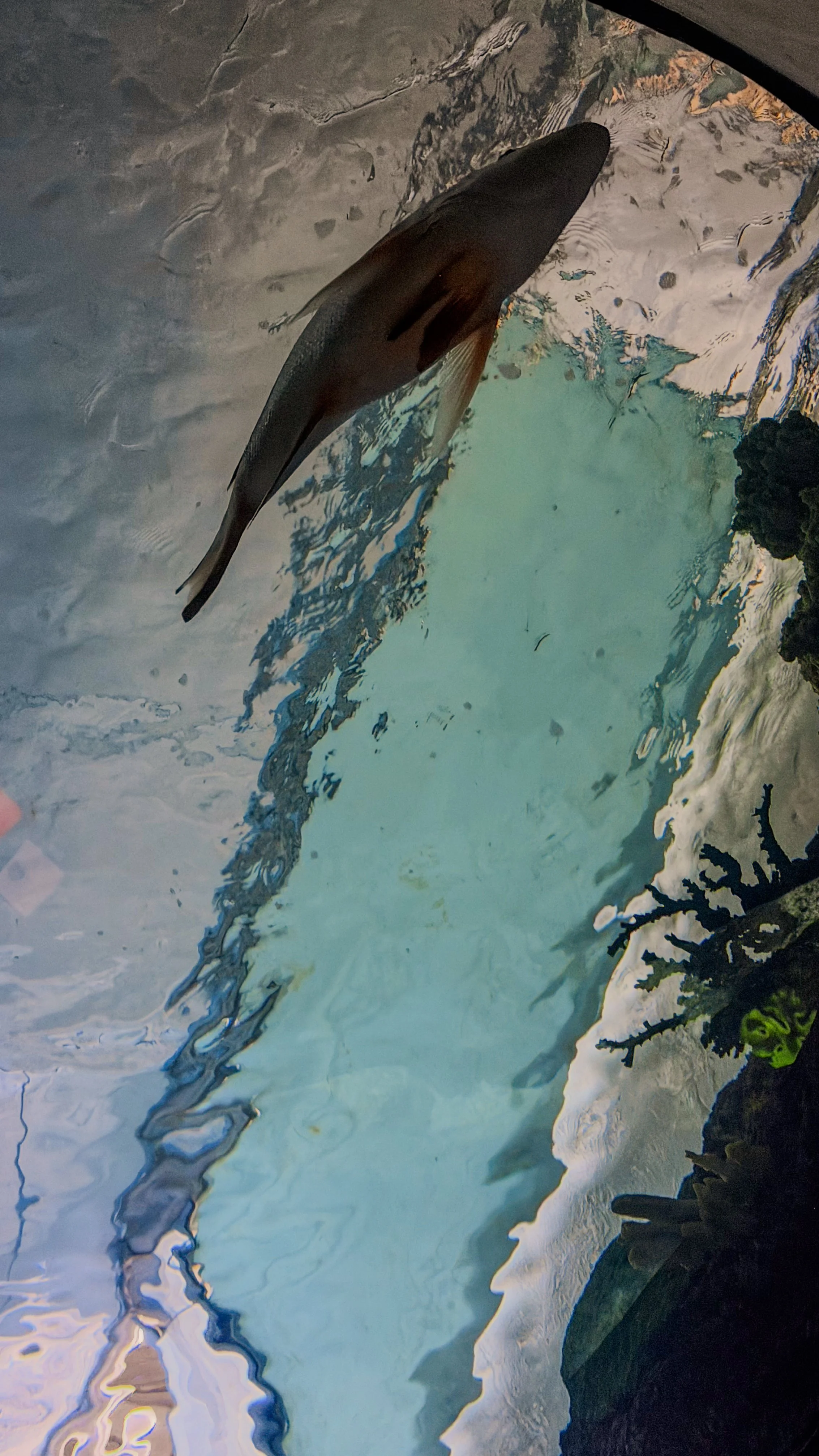 IMG_9914.JPG