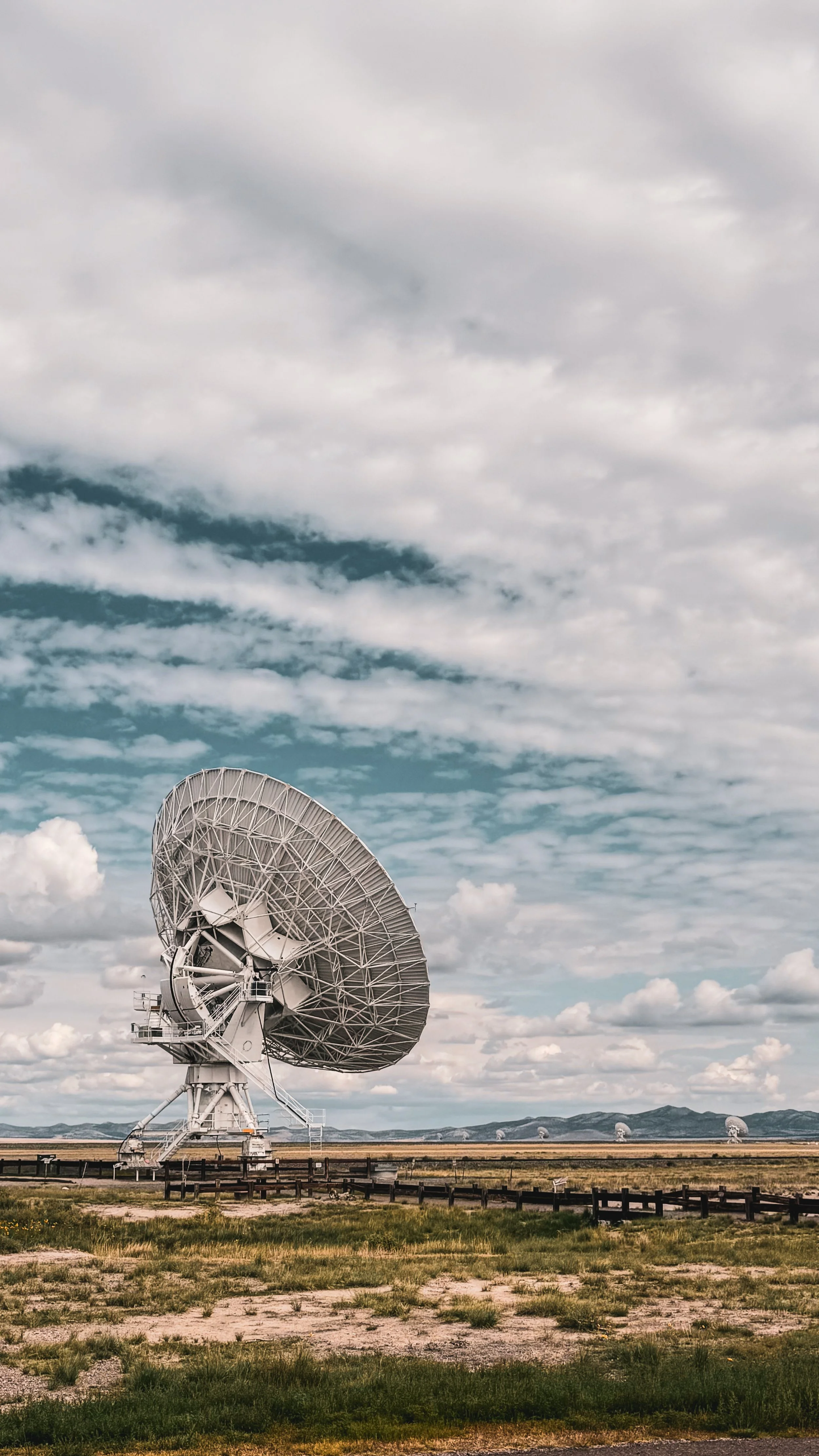 IMG_8570_jpg.JPG