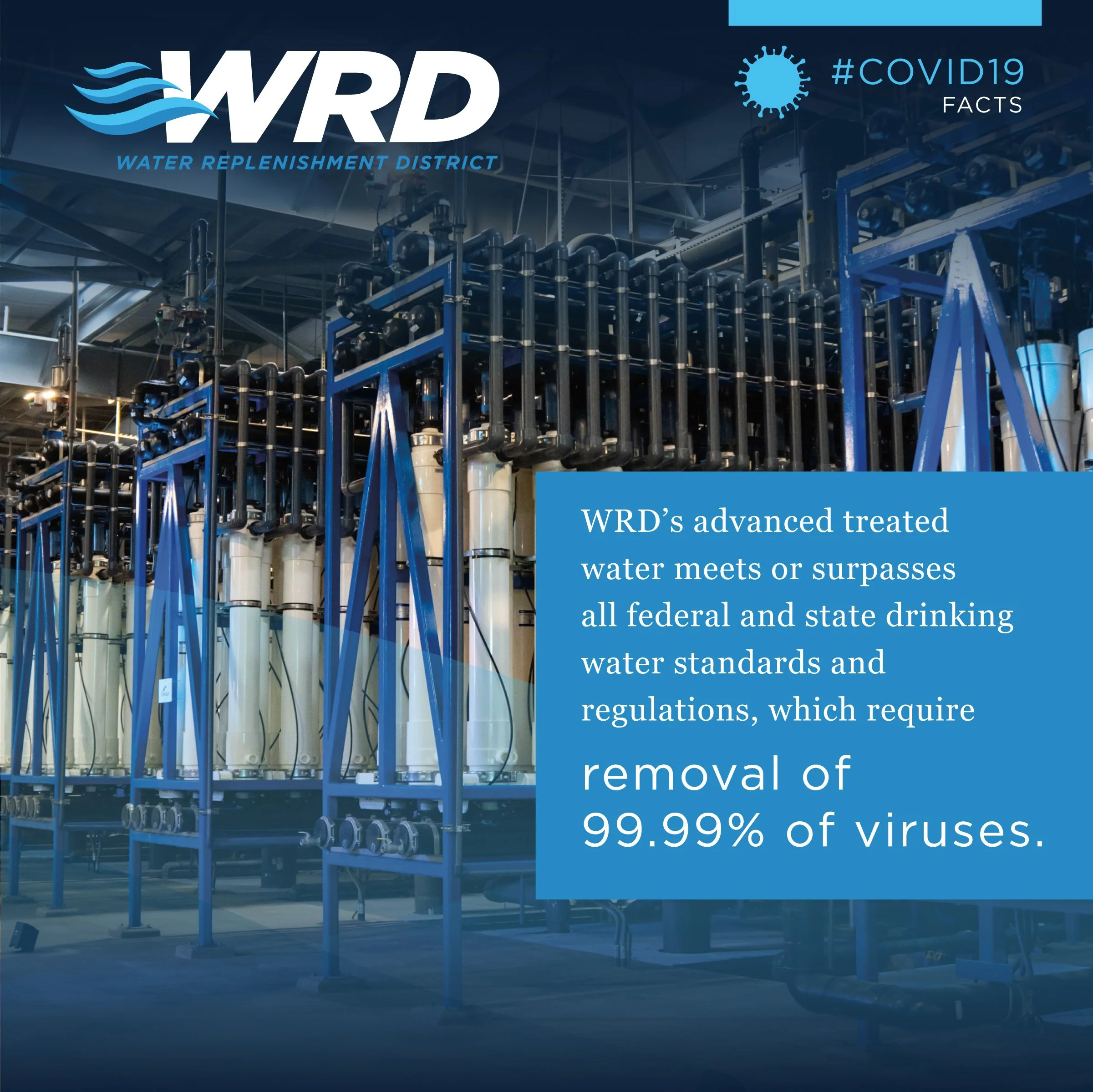 WRD Social Graphics_COVID19_English_Draft v1-03.jpg