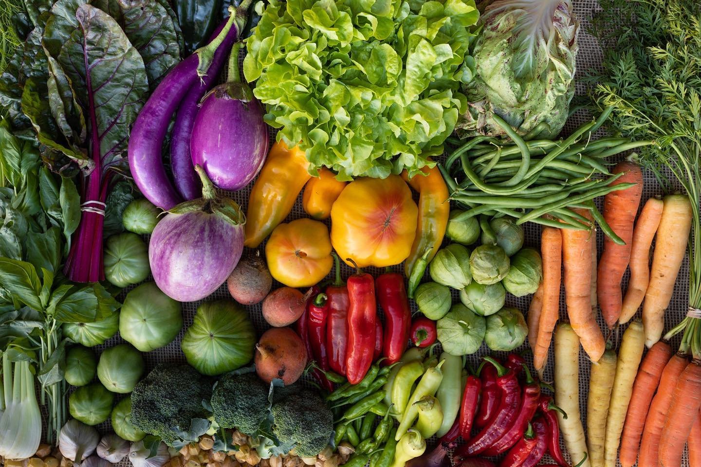 Veg_Summer.jpg