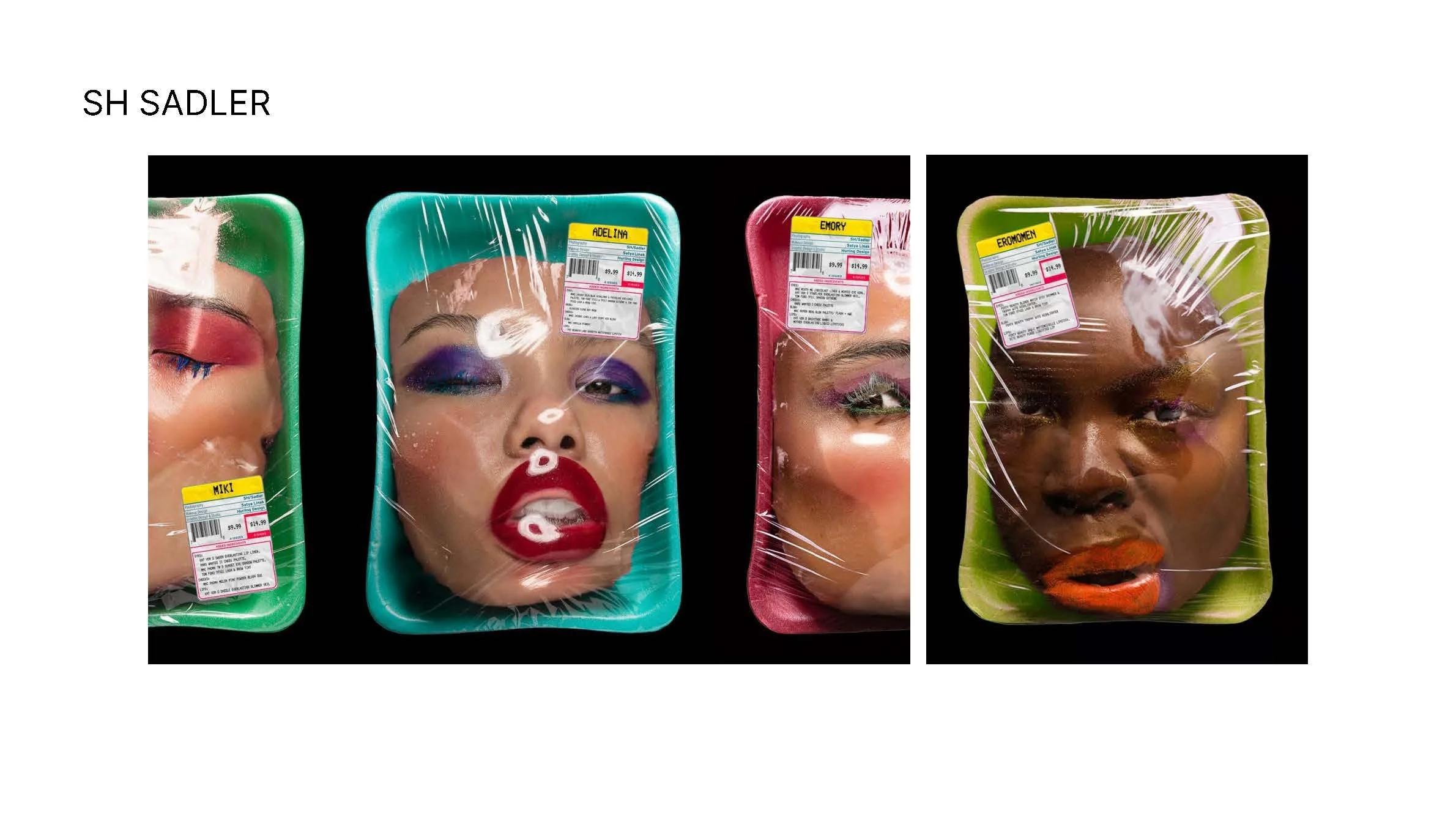 Visaka_DN1004_Project 1 Progress_Page_03.jpg