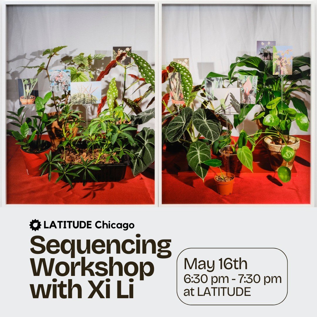 Join us on May 16th with May Artist in Residence Xi Li for a sequencing workshop! Xi will guide participants through the process of ordering their own images while also working with the group to create a shared sequence. These skills can be applied n