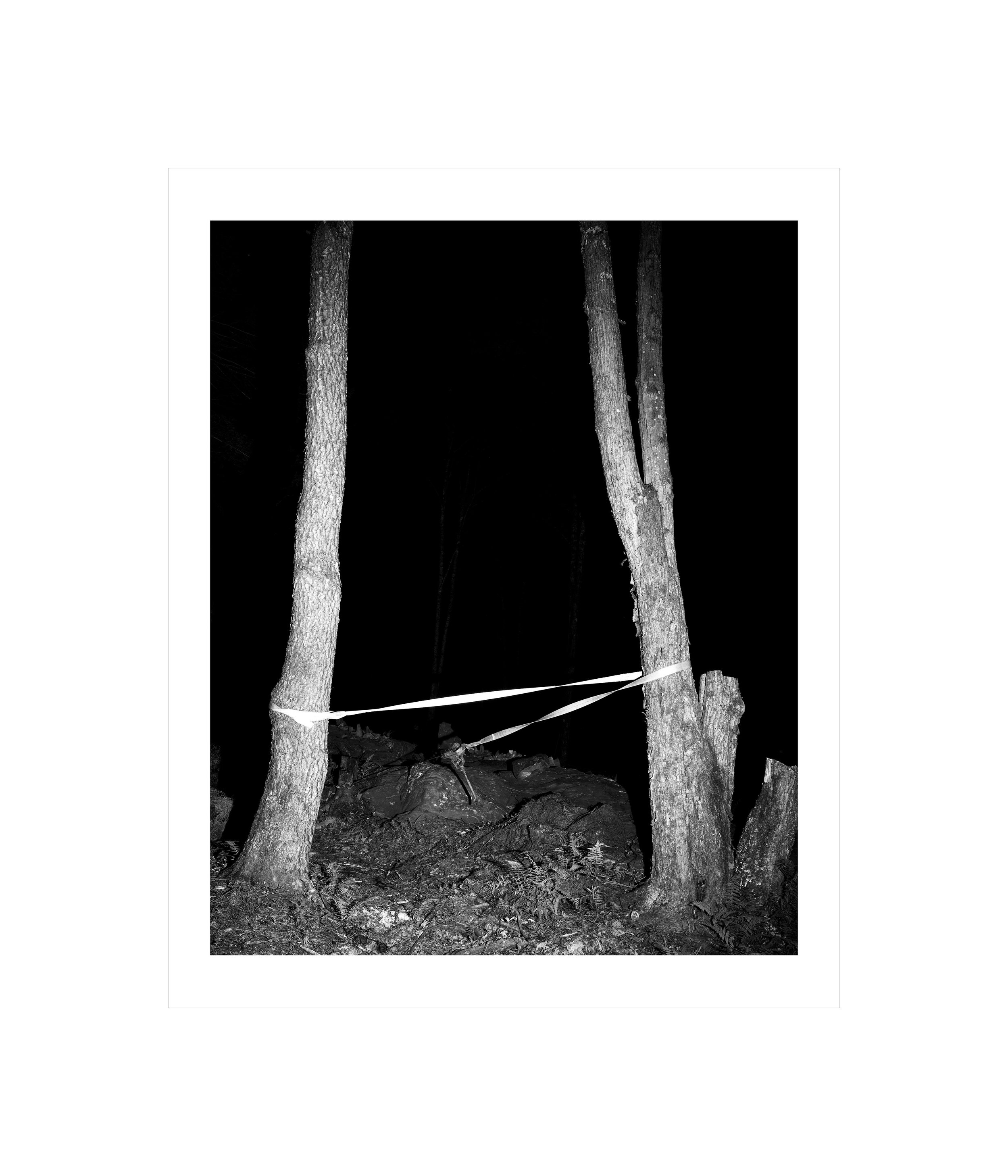 Beck Andersen
