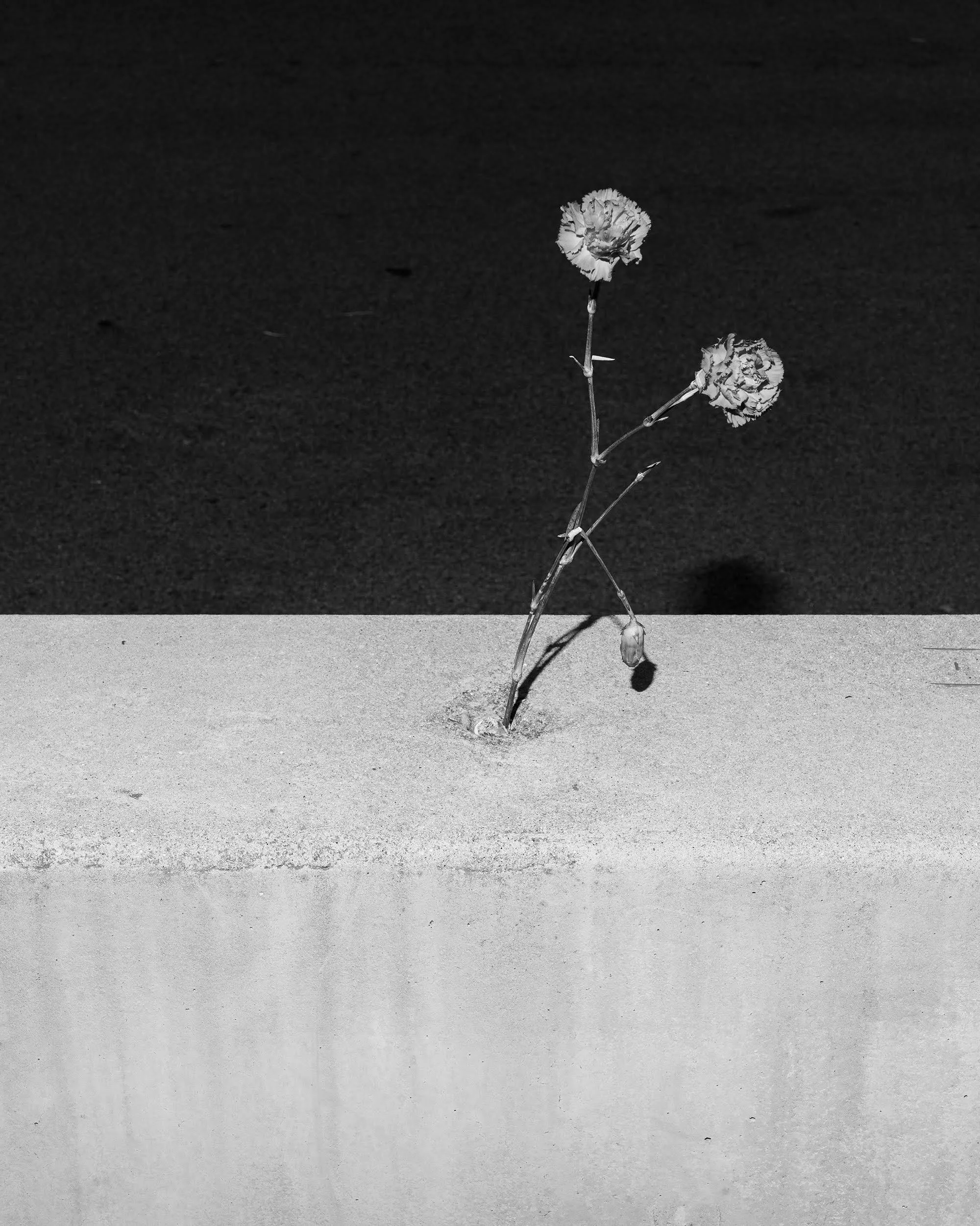 Self-Publishing Workshop with Dylan Yarbrough