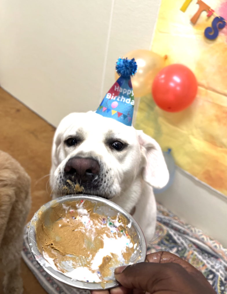 Screenshot 2025-12-10 at 9.52.22 AM.png