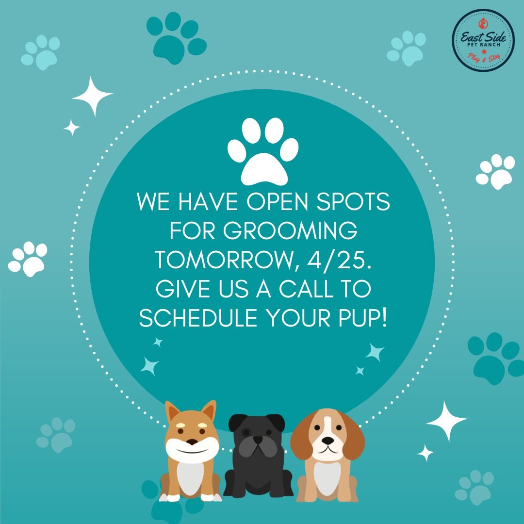 We have had some openings for grooming tomorrow, 4/25. If you are interested, please give us a call at (737) 273-0480! 

 #espr #eastsidepetranch #dogboarding #doggrooming #dogdaycare #dogtraining #doggiedaycare #austintx #Austin #dogsofatx #atxdogs 
