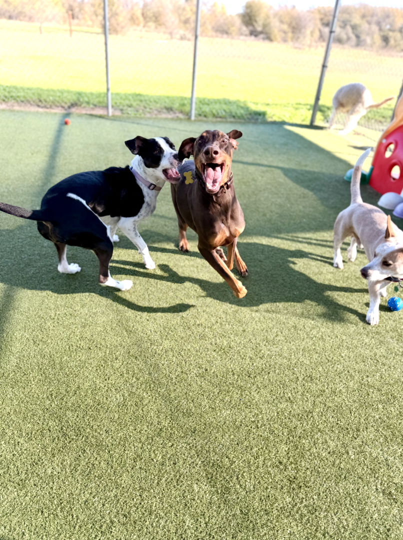 Screenshot 2025-12-10 at 9.58.40 AM.png