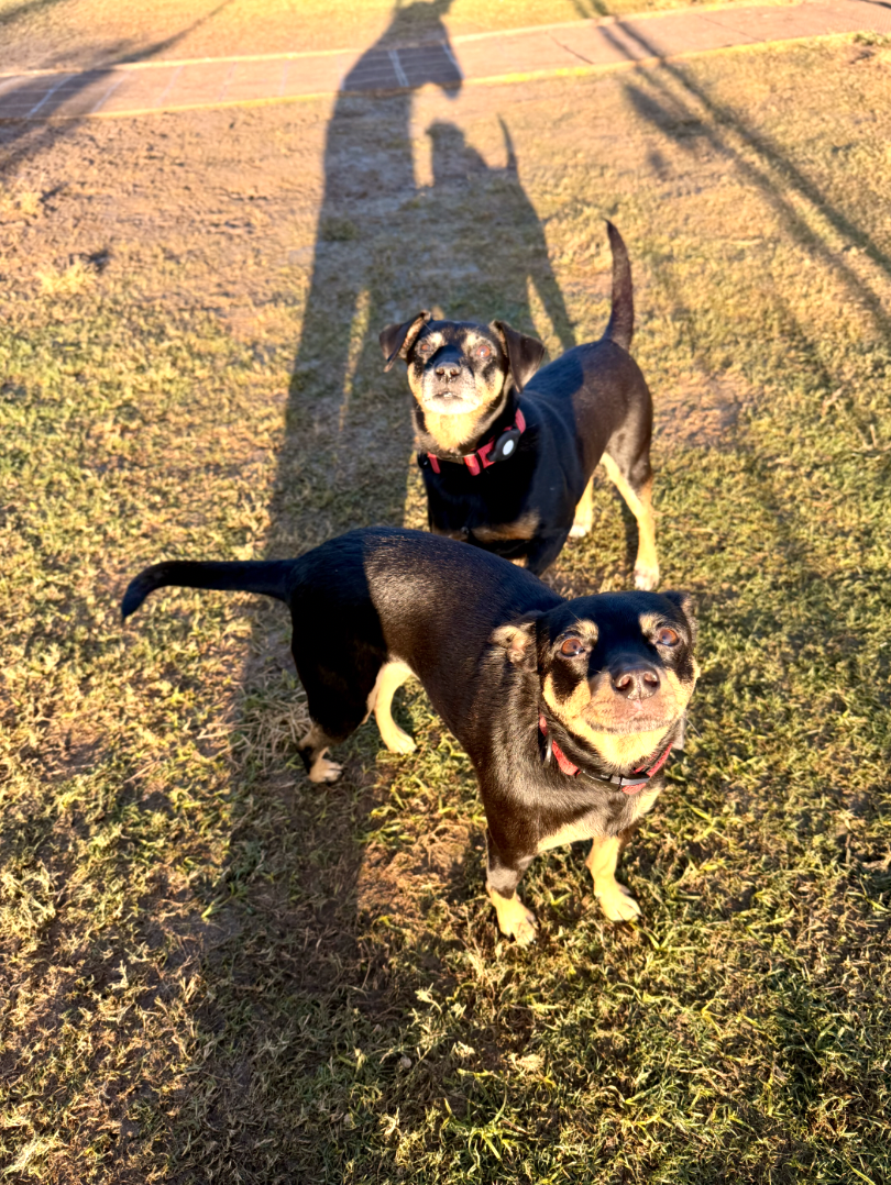 Screenshot 2025-12-10 at 9.58.49 AM.png