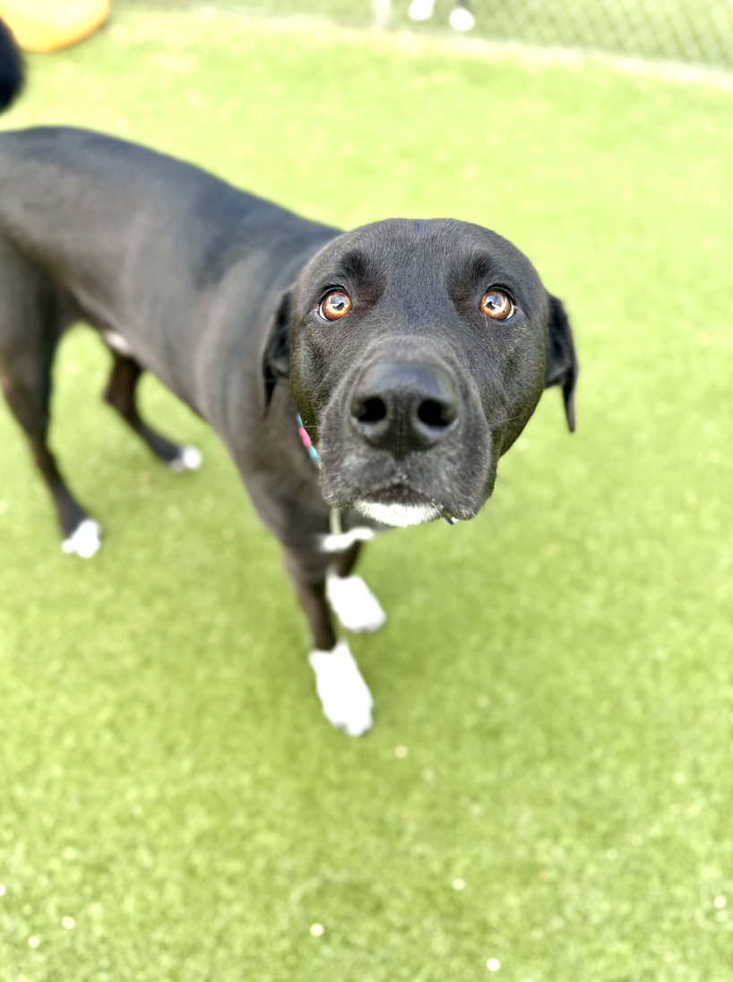 Screenshot 2025-12-10 at 10.42.22 AM.png