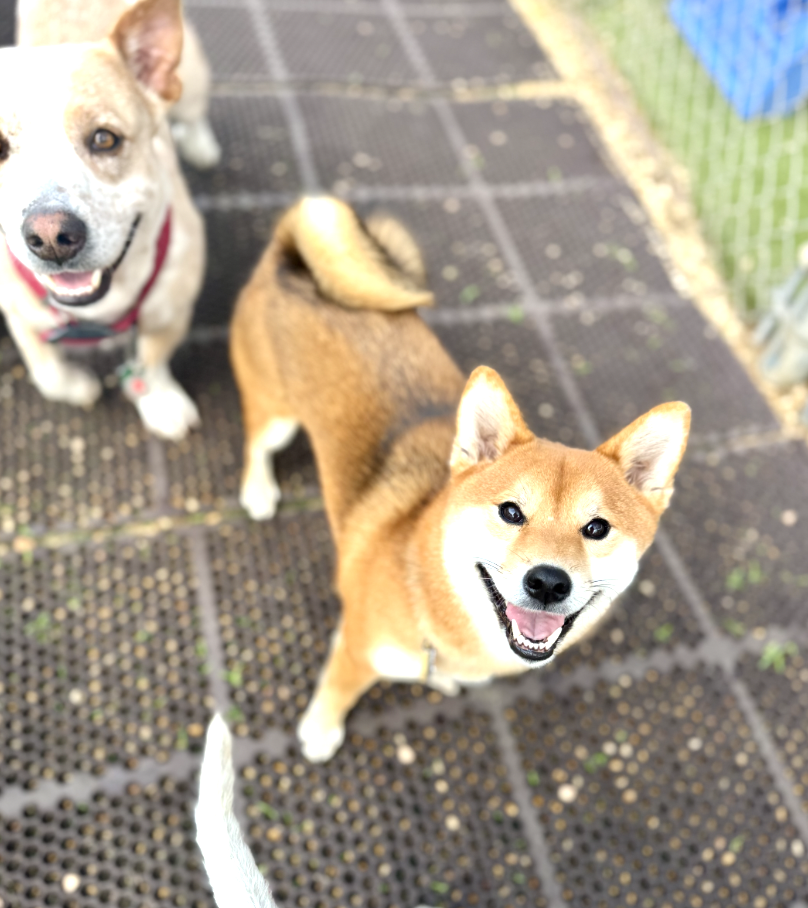 Screenshot 2025-12-10 at 10.42.35 AM.png