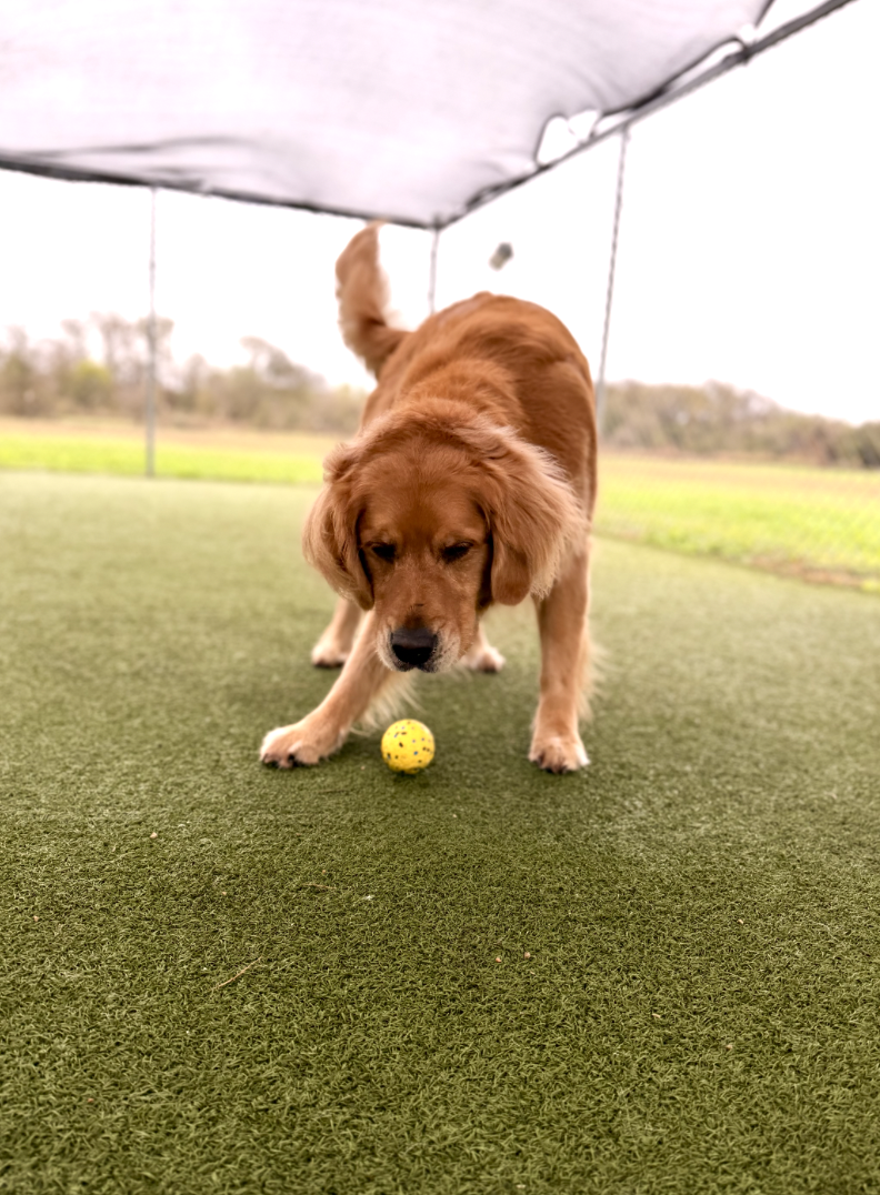 Screenshot 2025-12-10 at 9.58.31 AM.png