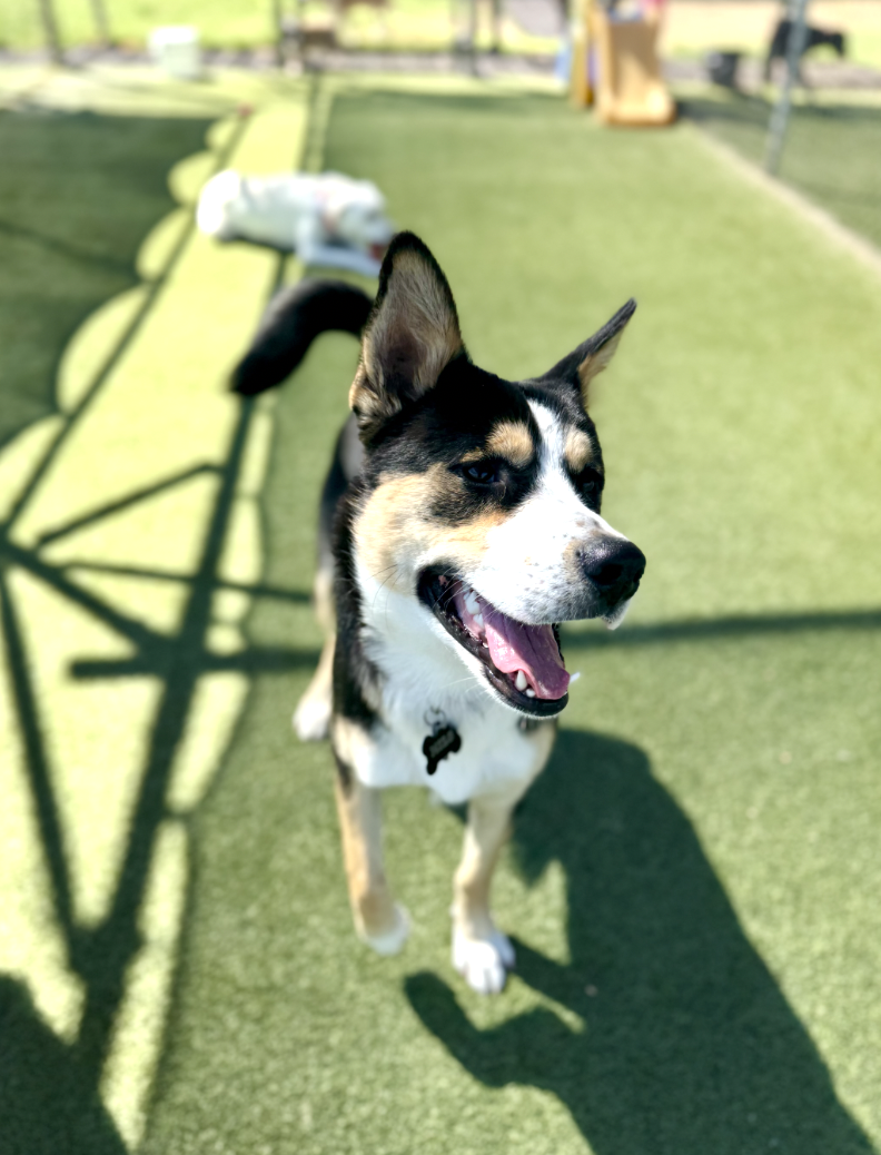 Screenshot 2025-12-10 at 9.52.42 AM.png