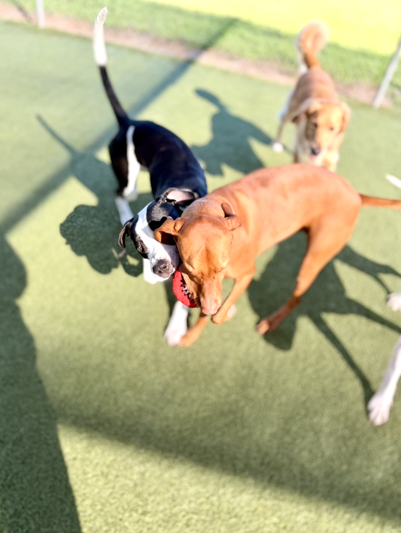 Screenshot 2025-12-10 at 9.58.14 AM.png