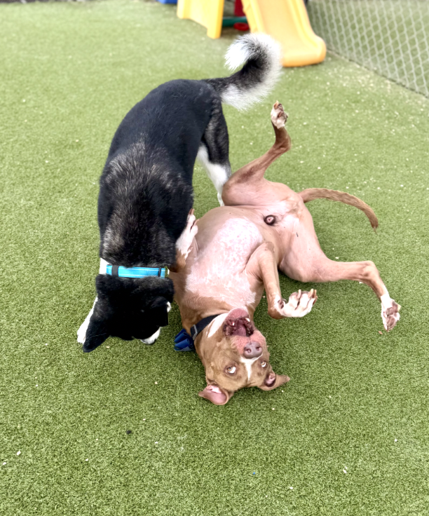 Screenshot 2025-12-10 at 11.01.43 AM.png