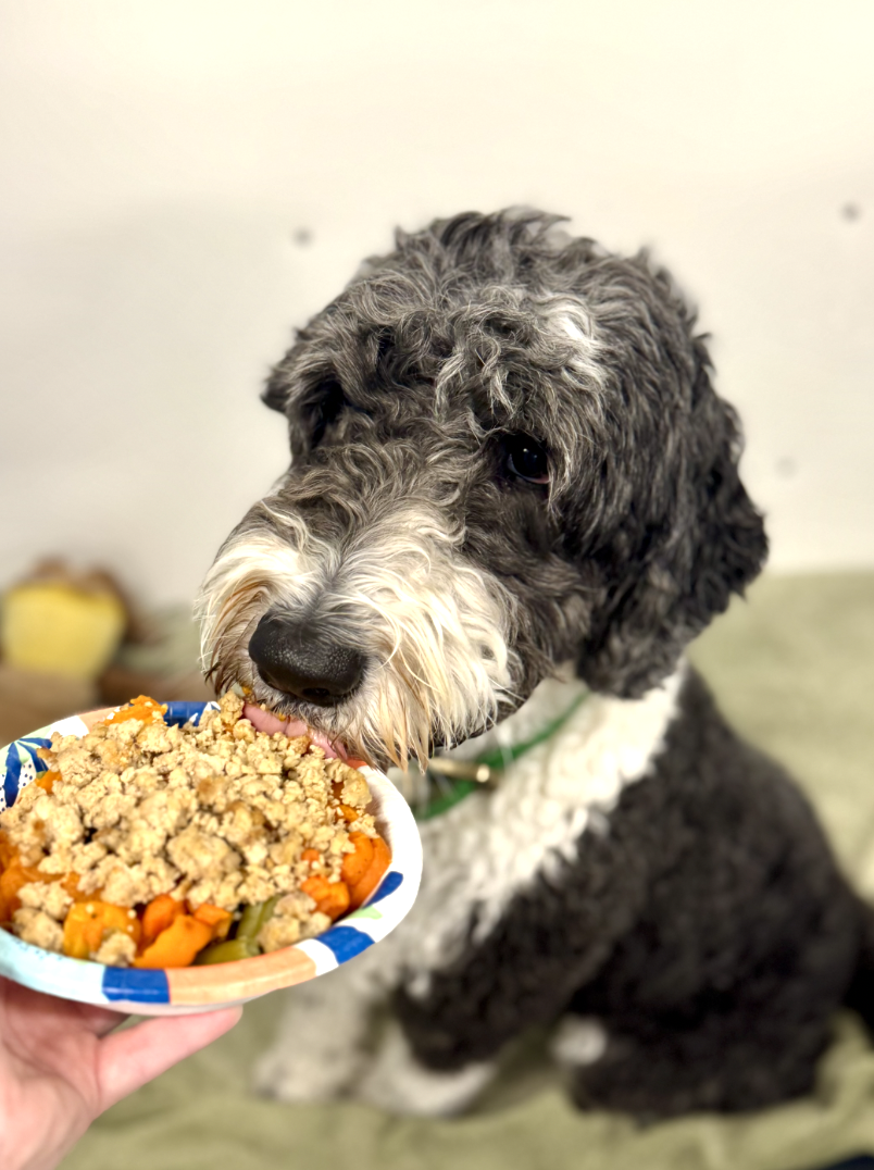 Screenshot 2025-12-10 at 9.53.22 AM.png