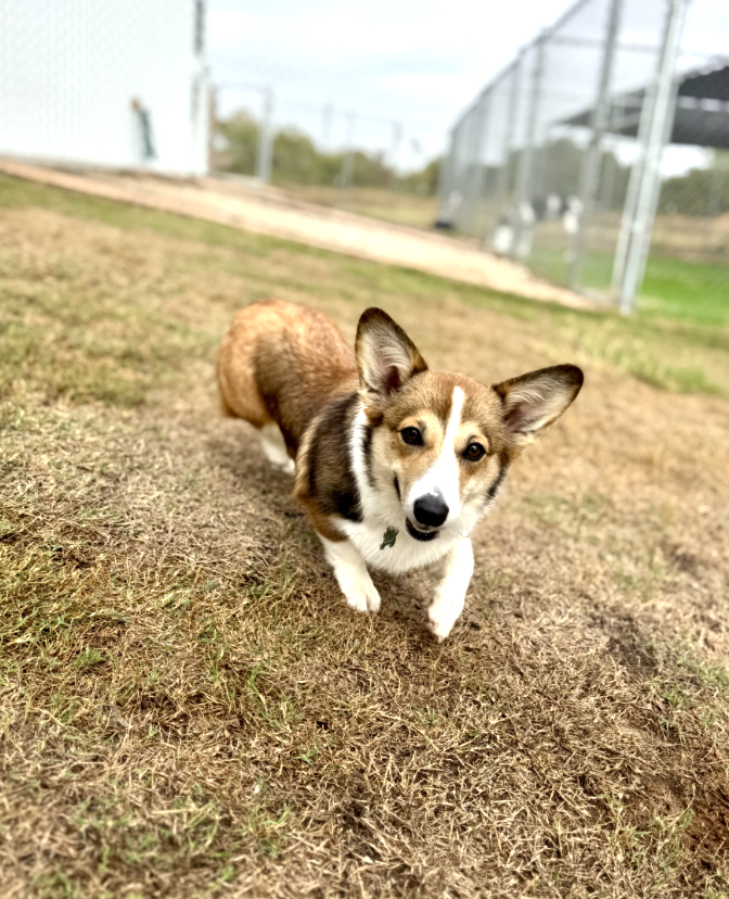 Screenshot 2025-12-10 at 11.00.57 AM.png