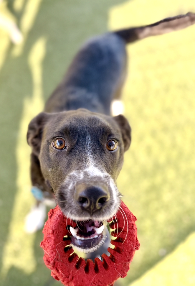 Screenshot 2025-12-10 at 11.02.23 AM.png