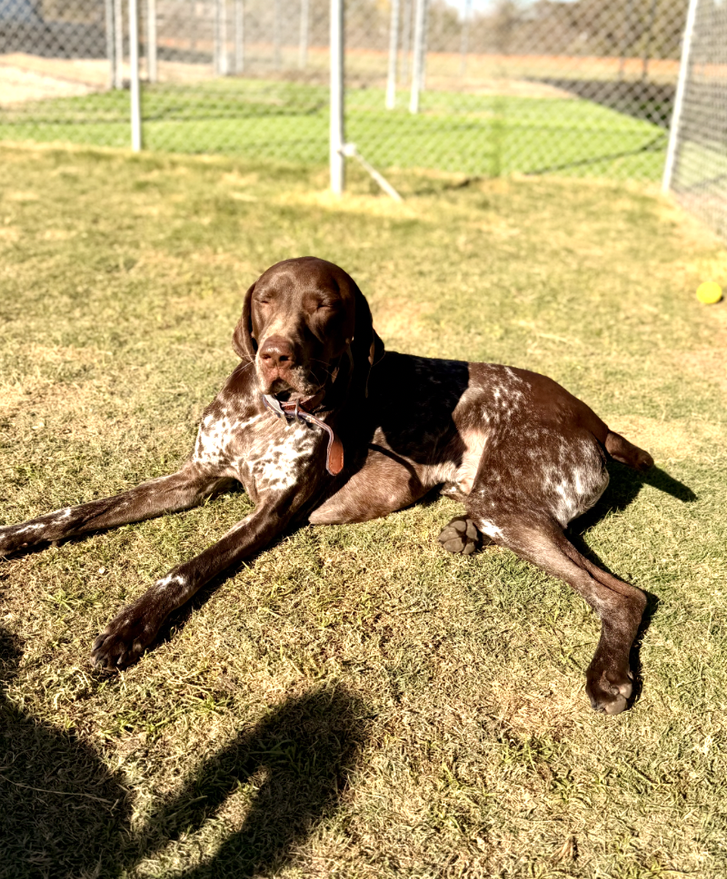 Screenshot 2025-12-10 at 11.02.40 AM.png