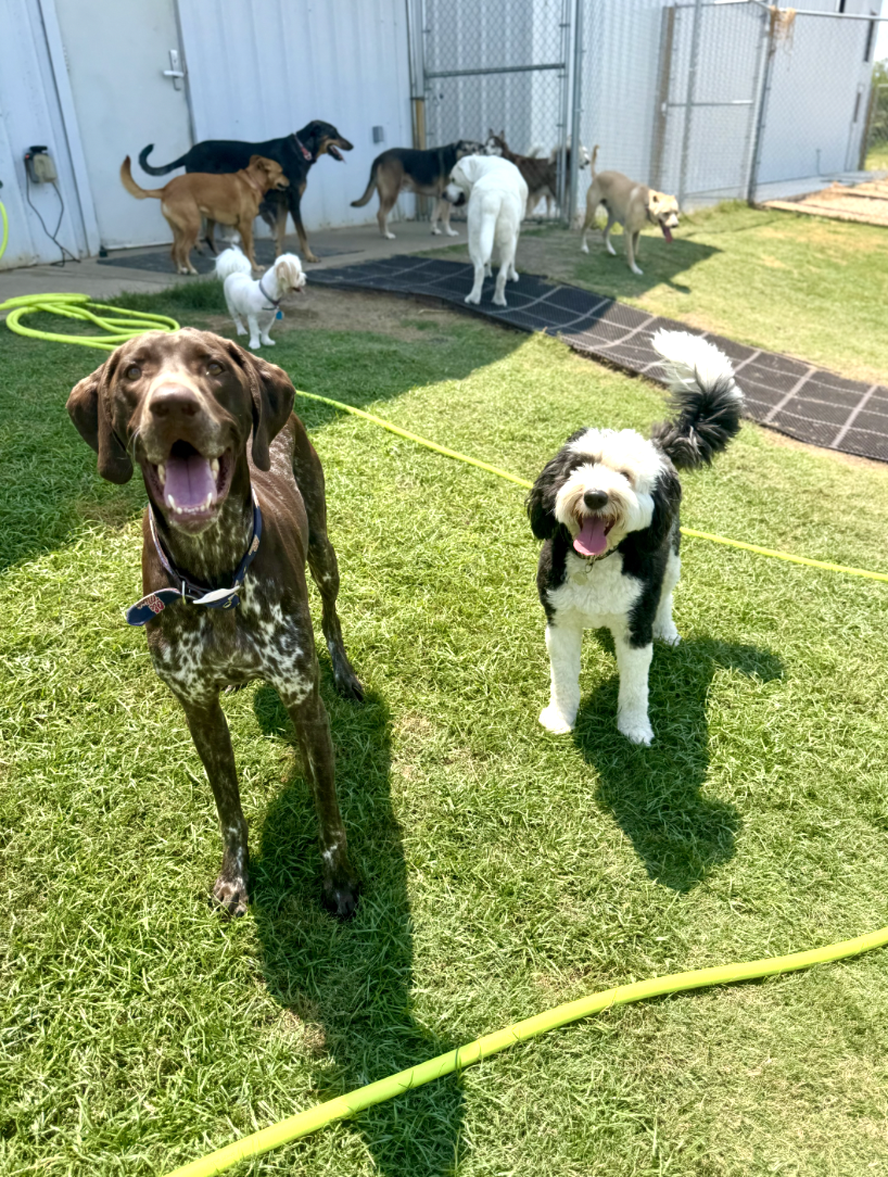 Screenshot 2025-12-10 at 9.54.37 AM.png