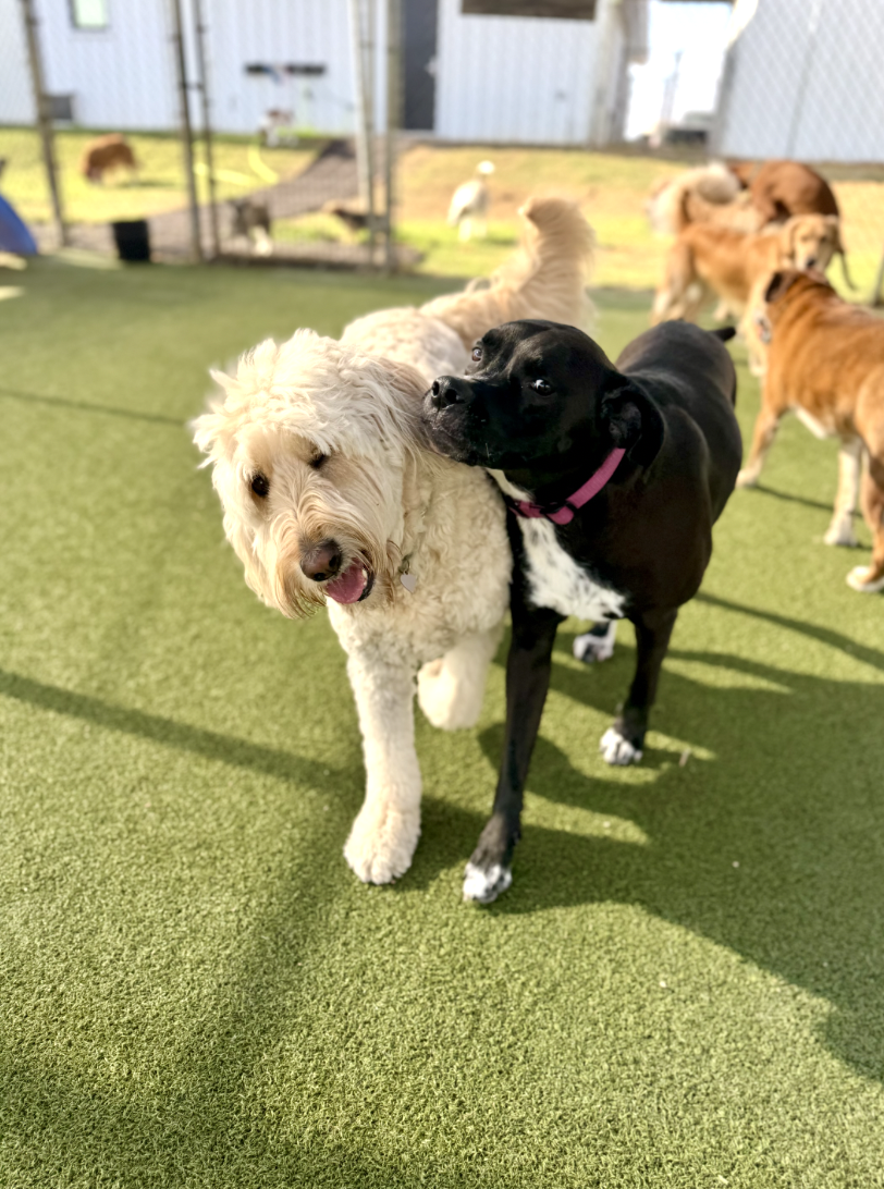 Screenshot 2025-12-10 at 9.53.41 AM.png