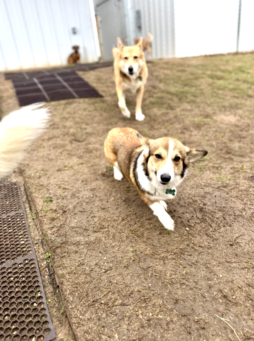 Screenshot 2025-12-10 at 10.41.49 AM.png