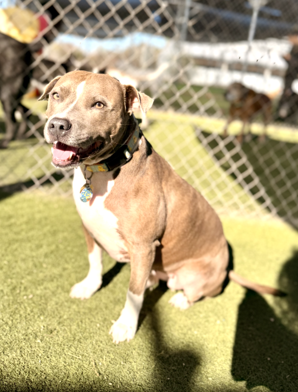 Screenshot 2025-12-10 at 11.02.32 AM.png