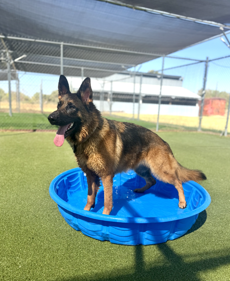 Screenshot 2025-12-10 at 10.59.26 AM.png