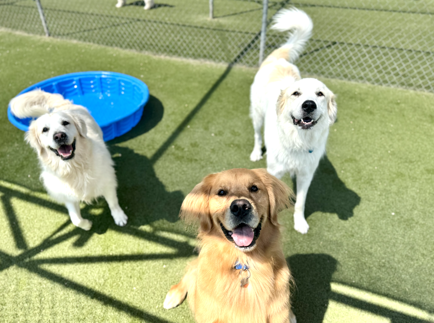 Screenshot 2025-12-10 at 9.54.20 AM.png