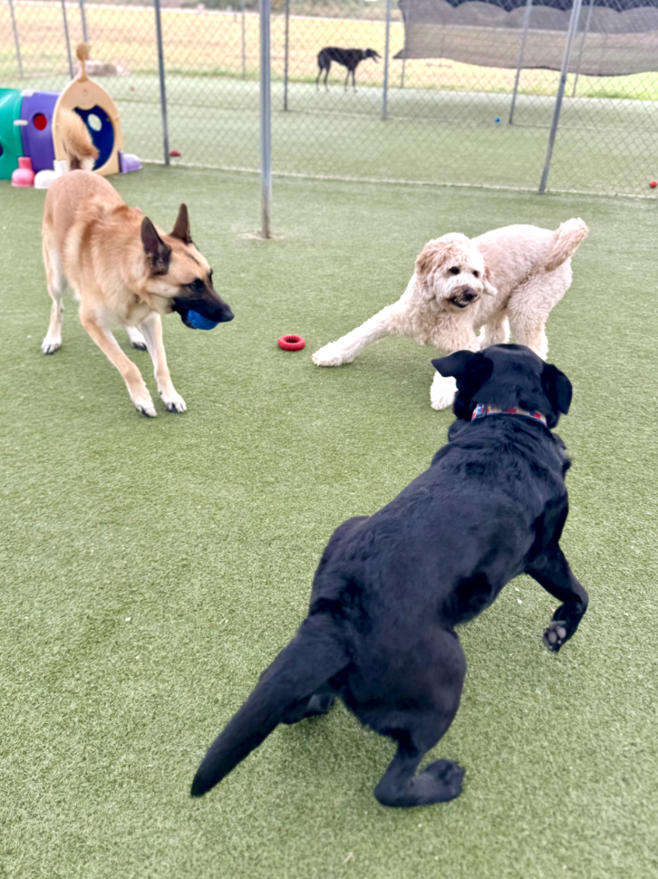 Screenshot 2025-12-10 at 11.00.26 AM.png