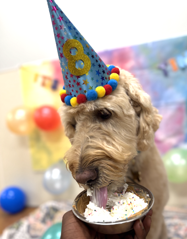 Screenshot 2025-12-10 at 9.52.33 AM.png