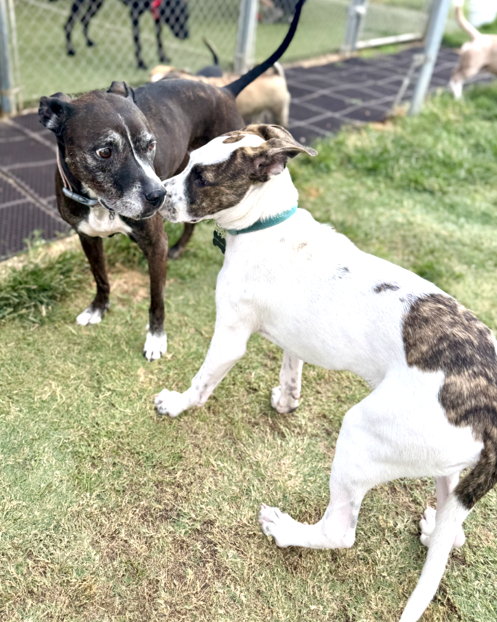 Screenshot 2025-12-10 at 11.00.42 AM.png