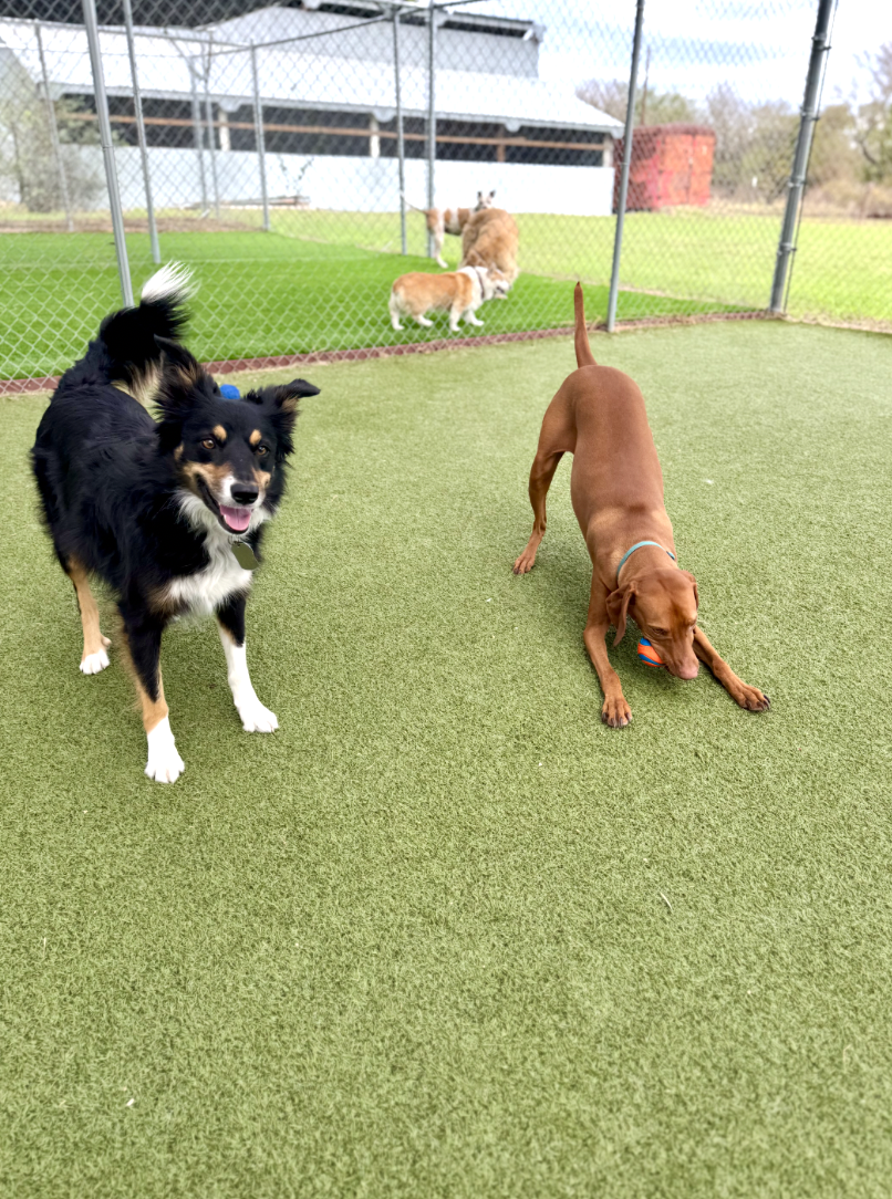 Screenshot 2025-12-10 at 10.42.48 AM.png